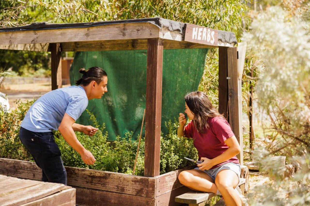 Yha Grampians Eco, Halls Gap Hostel Exterior photo