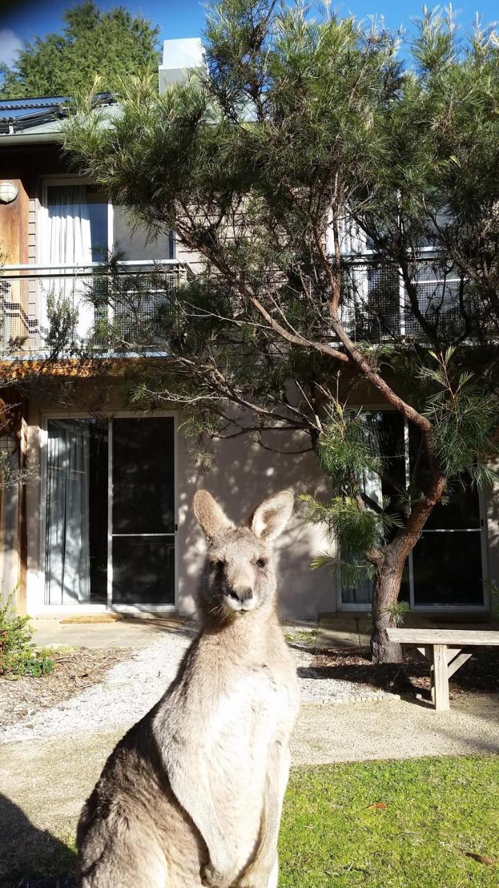 Yha Grampians Eco, Halls Gap Hostel Exterior photo