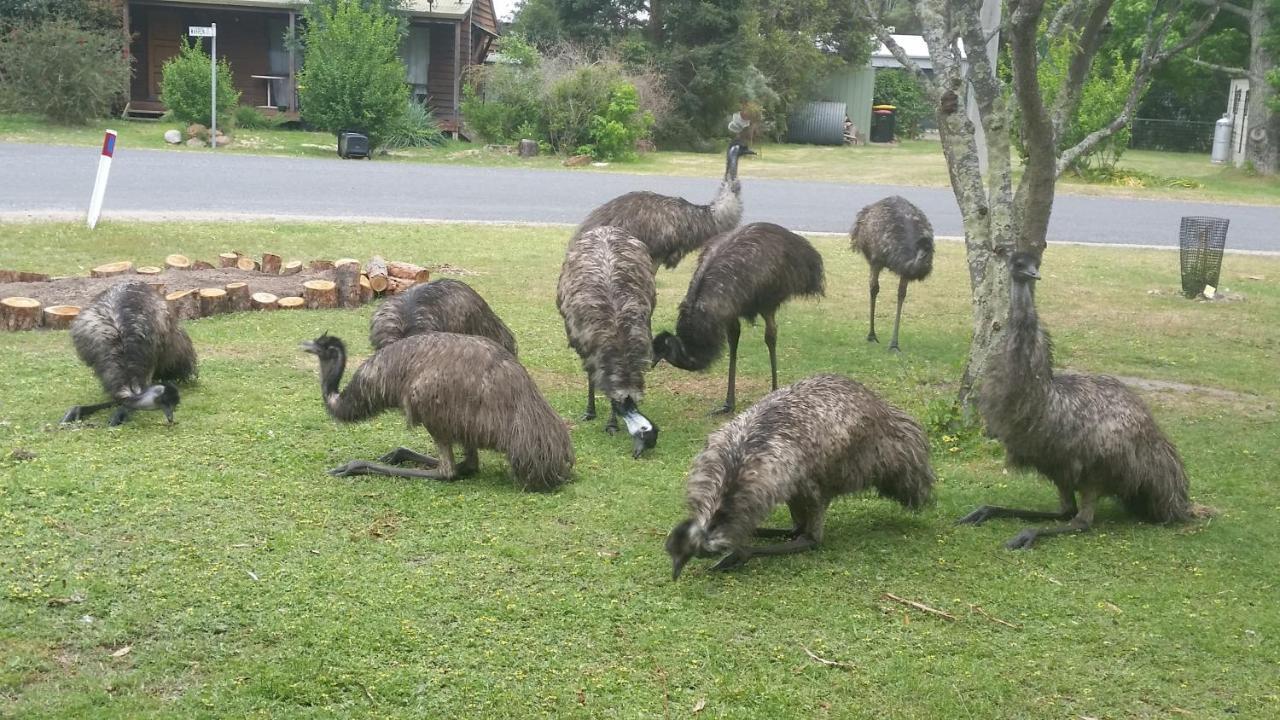 Yha Grampians Eco, Halls Gap Hostel Exterior photo